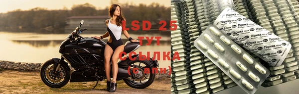 MESCALINE Баксан