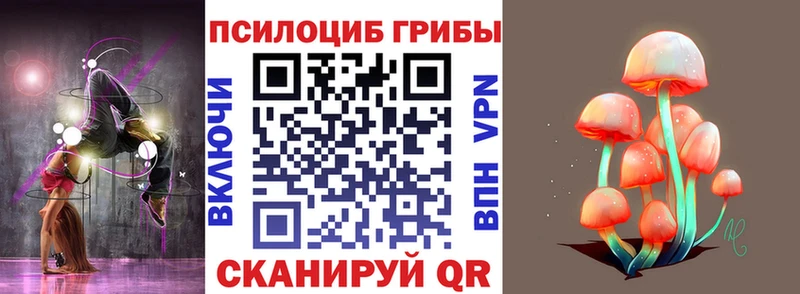 Псилоцибиновые грибы Psilocybine cubensis  Советск 